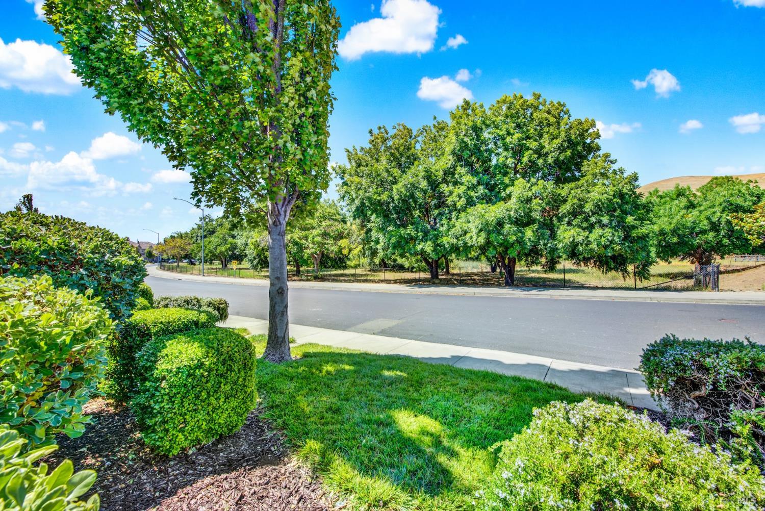 7004 Alder Creek Road Vallejo, CA 94591 - Photo 5 of 71