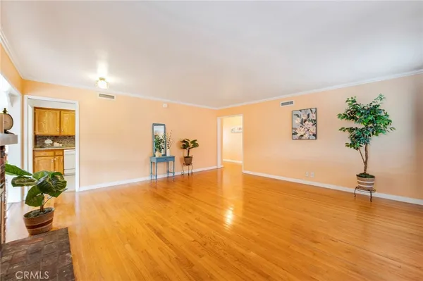 a view of a livingroom with wooden floor and a potted plant
