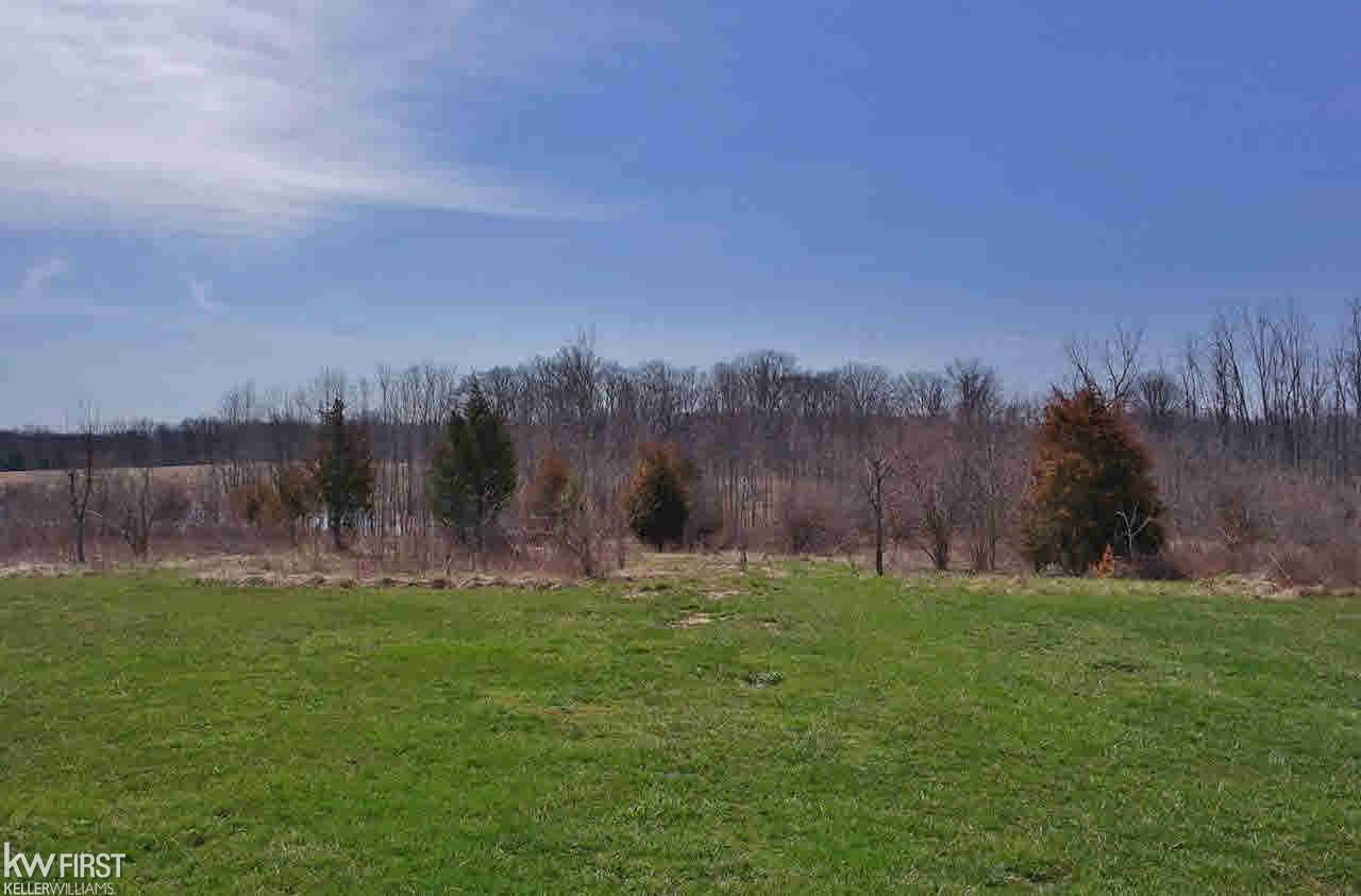 6155 West Ray Road Linden, MI 48451 - Photo 18 of 37 21275787-17.JPG