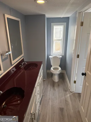 a bathroom with a sink and a toilet
