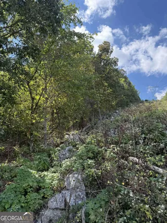 a view of a city with lush green forest