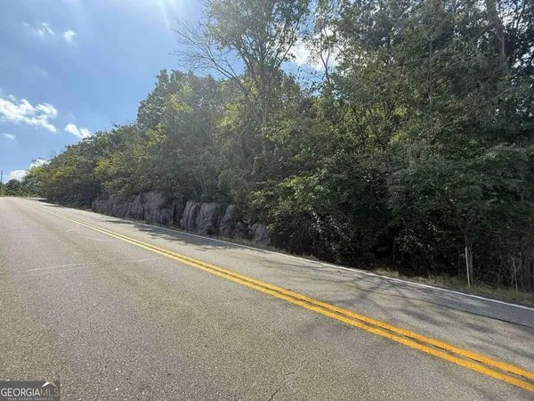 a view of a field with large trees