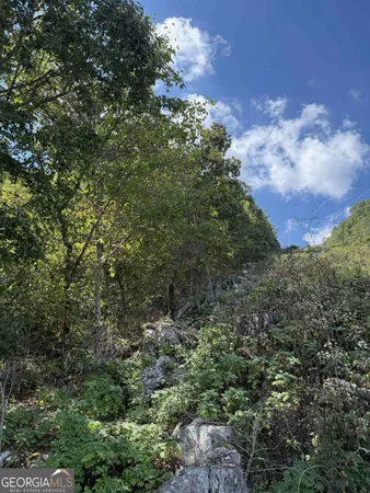 a view of a city with lush green forest