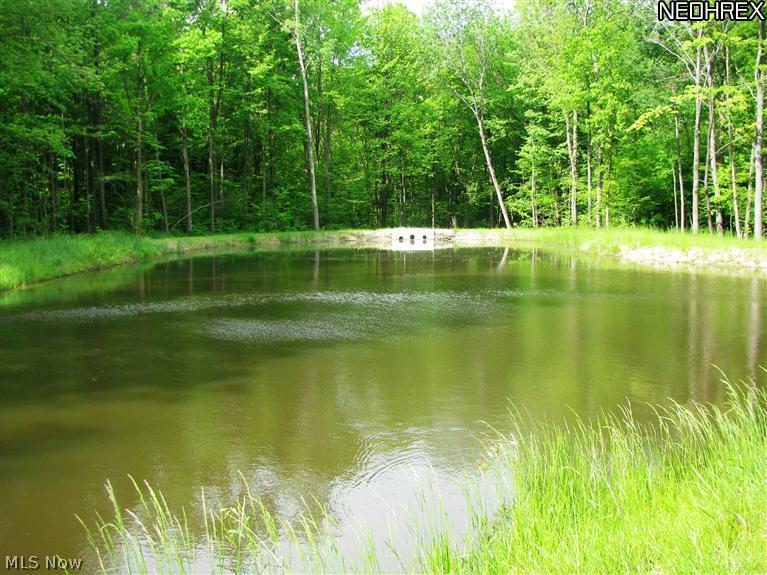 2428 Sodom Road Orwell, OH 44076 - Photo 7 of 14 Gallery Image 7