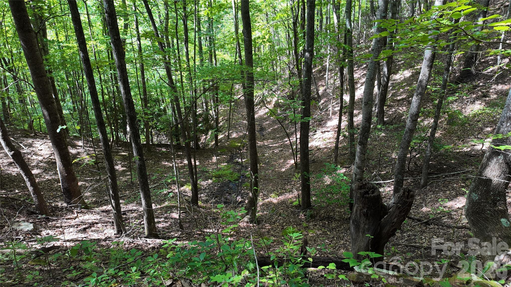 99999 Saw Branch Road Candler, NC 28715 - Photo 23 of 37 Gallery Image 23