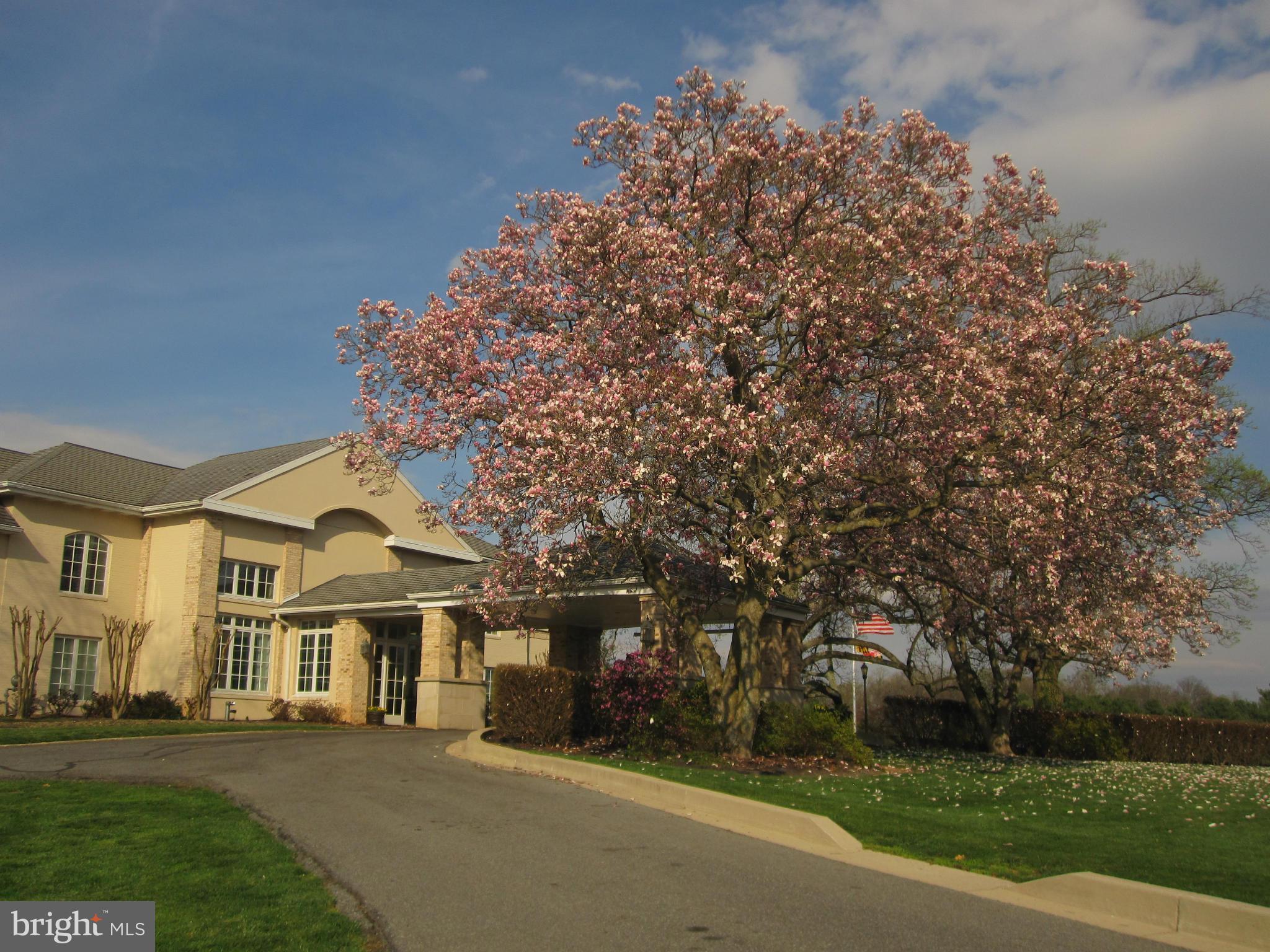 14511 Carrolton Road Rockville, MD 20853 - Photo 30 of 30 Manor Country Club