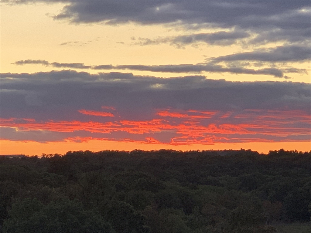 26 Crescent Road, Unit 1 Needham, MA 02494 - Photo 36 of 38