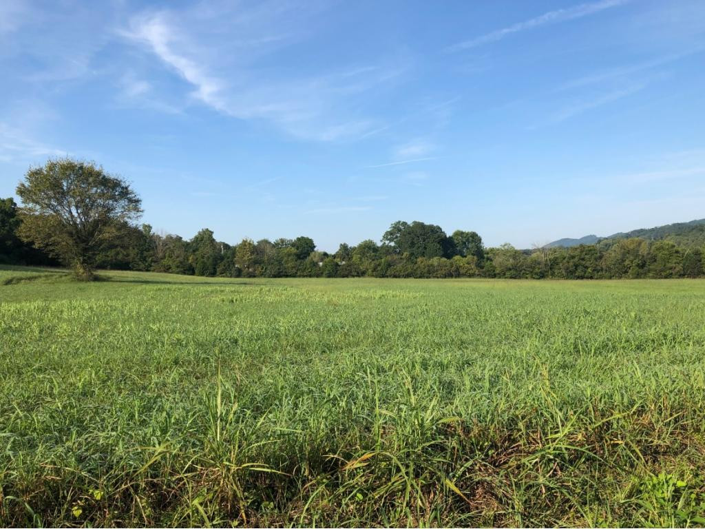 0 Ninny Ridge Road, Unit 9 Whitesburg, TN 37891 - Photo 6 of 8 Photo 6