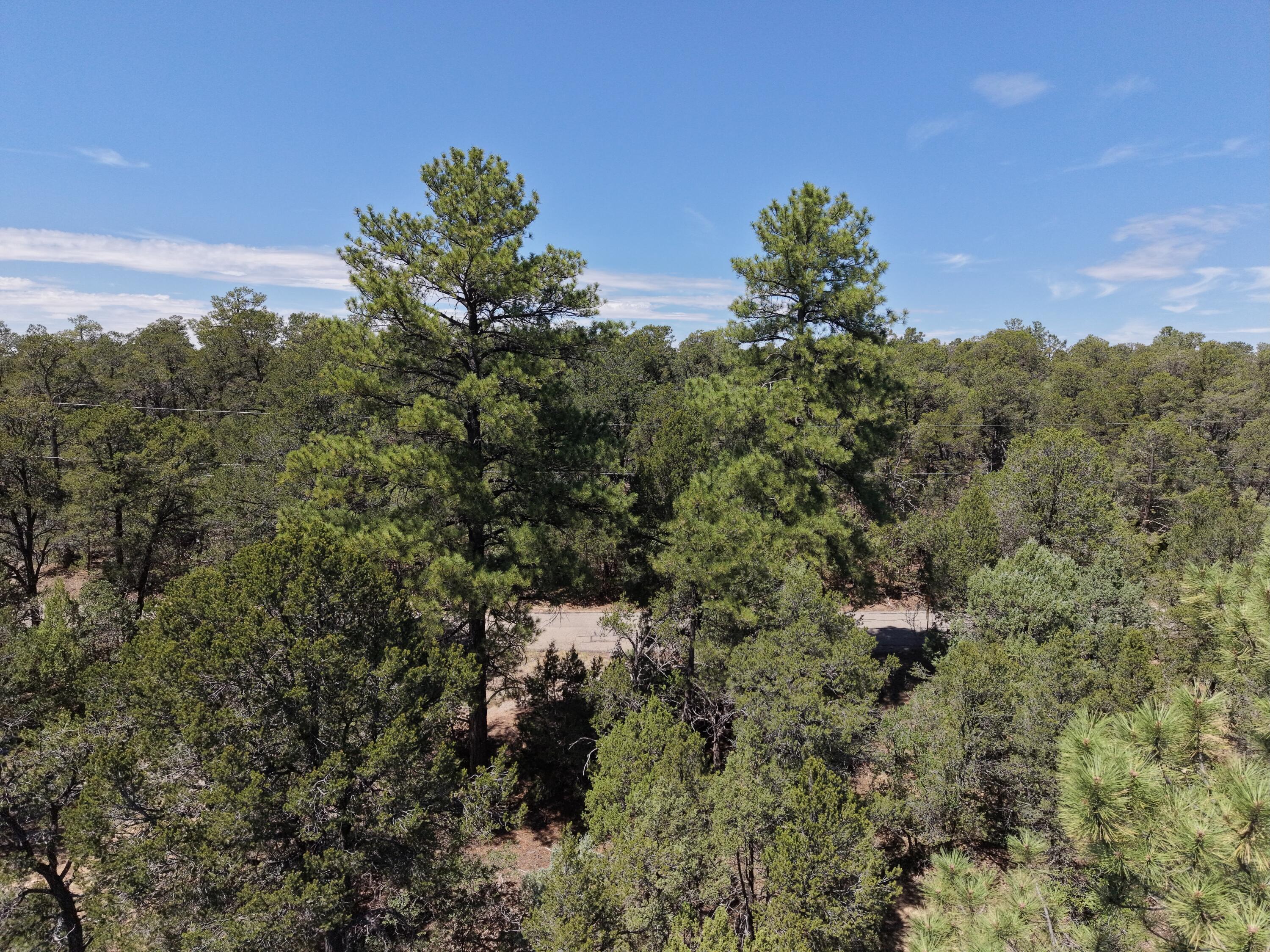 137 Raven Road Tijeras, NM 87059 - Photo 4 of 17 Gallery Image 4