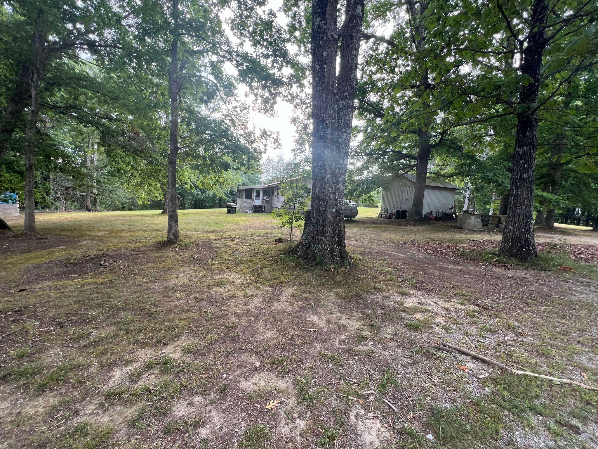185 Thompson Road Dunlap, TN 37327 - Photo 8 of 25 backyard 2