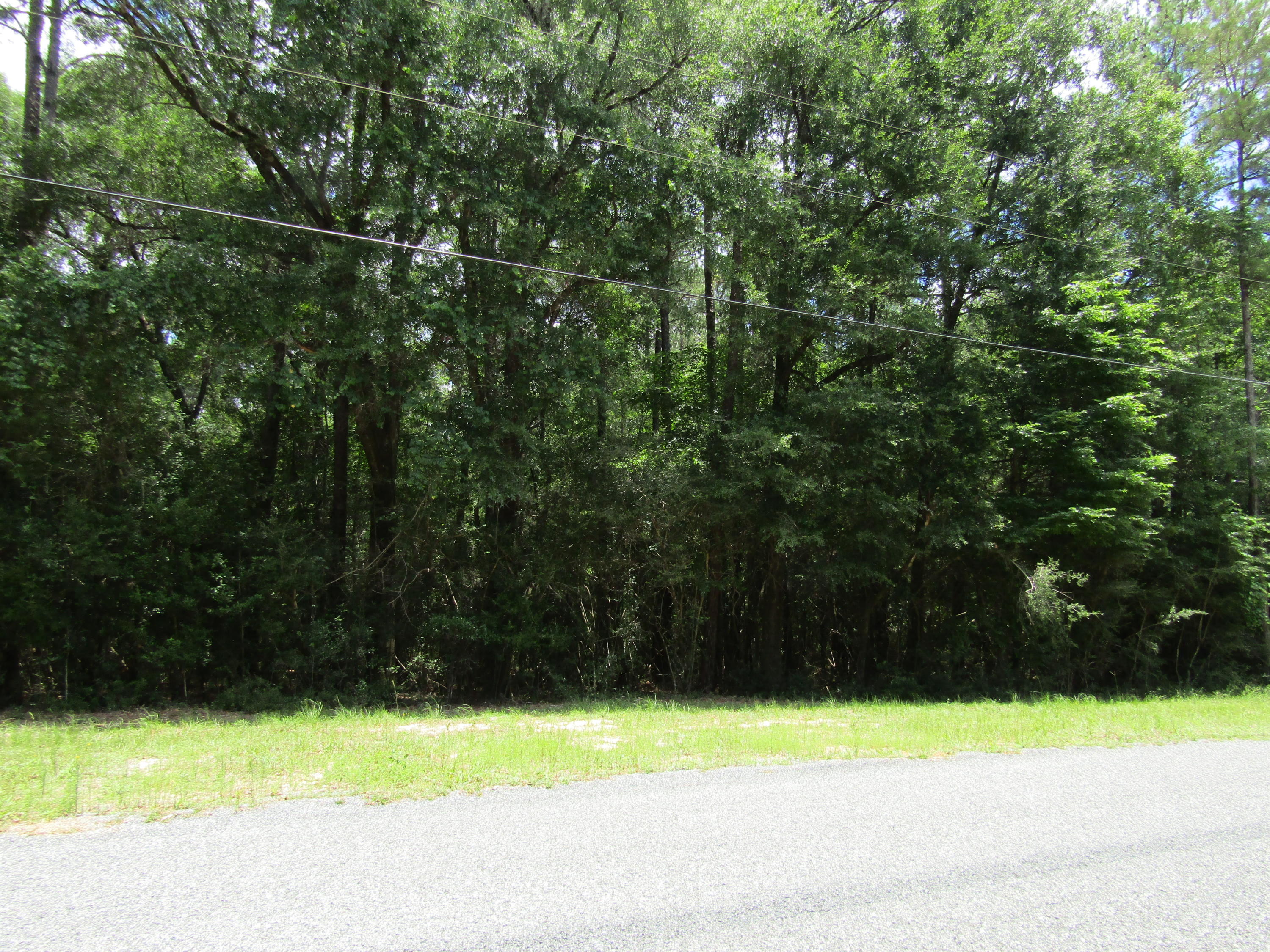 12.63 Jesse Medley Road Crestview, FL 32539 - Photo 6 of 6 a view of a wooden fence