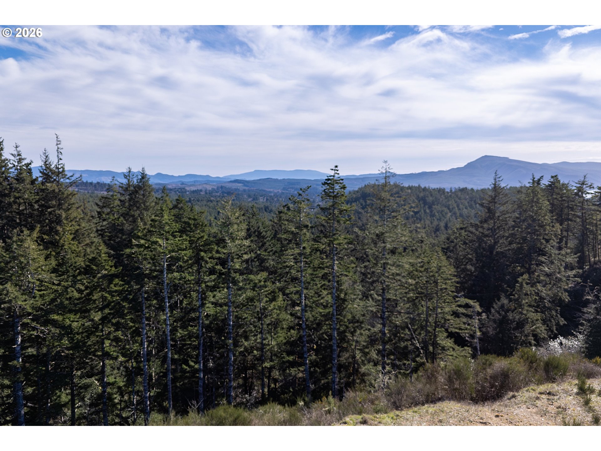 Ava Place, Unit 8 8 Tillamook, OR 97141 - Photo 4 of 12 a view of a city and mountains