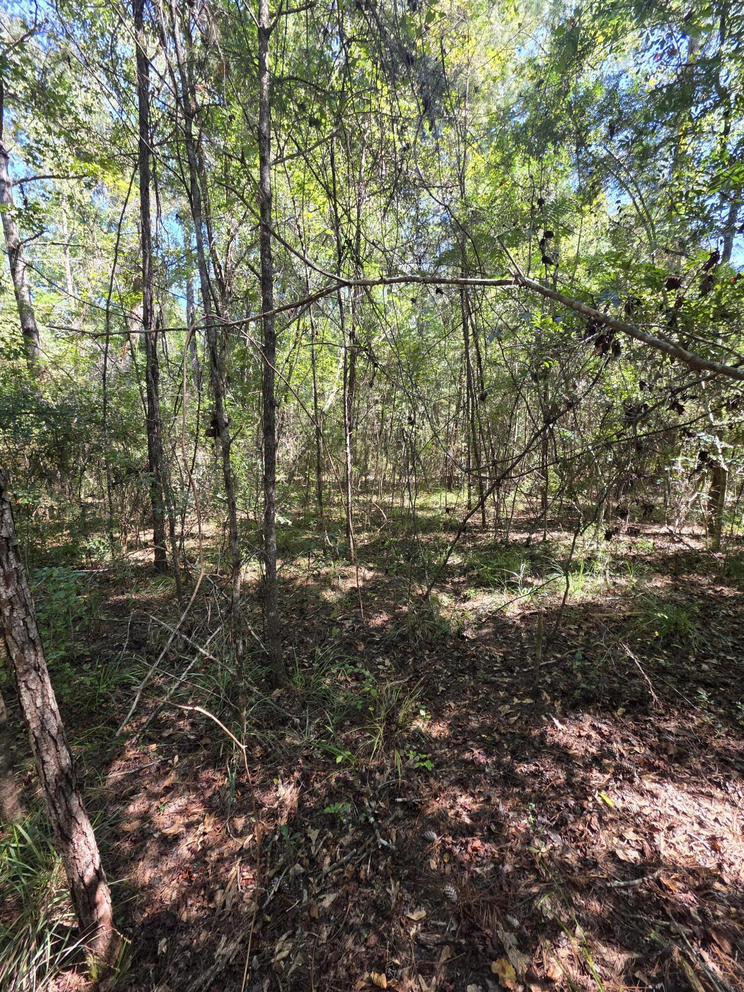 Lot 1-2 Antioch Road Crestview, FL 32536 - Photo 2 of 11 1000059454