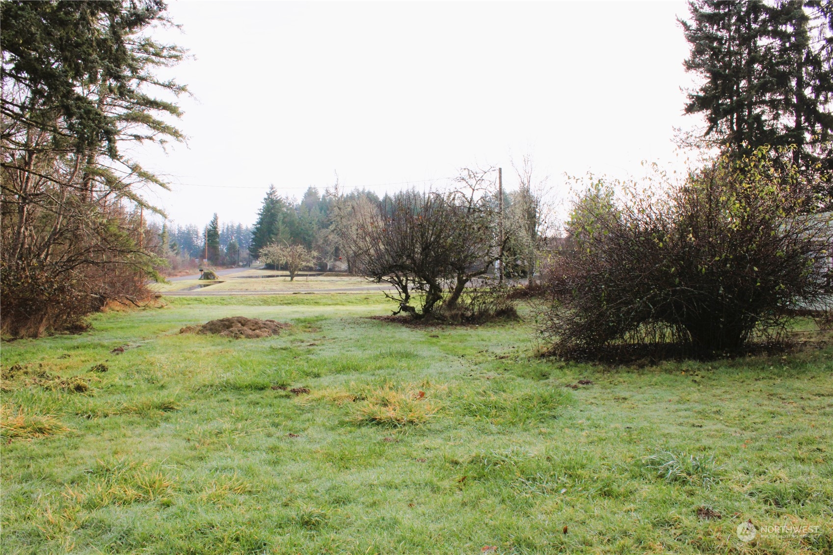 181 West Fredson Road Shelton, WA 98584 - Photo 35 of 38 Gallery Image 35