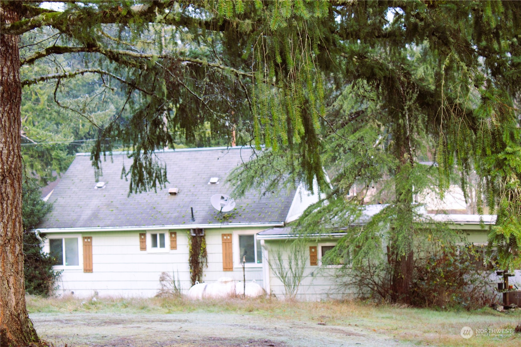 181 West Fredson Road Shelton, WA 98584 - Photo 4 of 38 Gallery Image 4