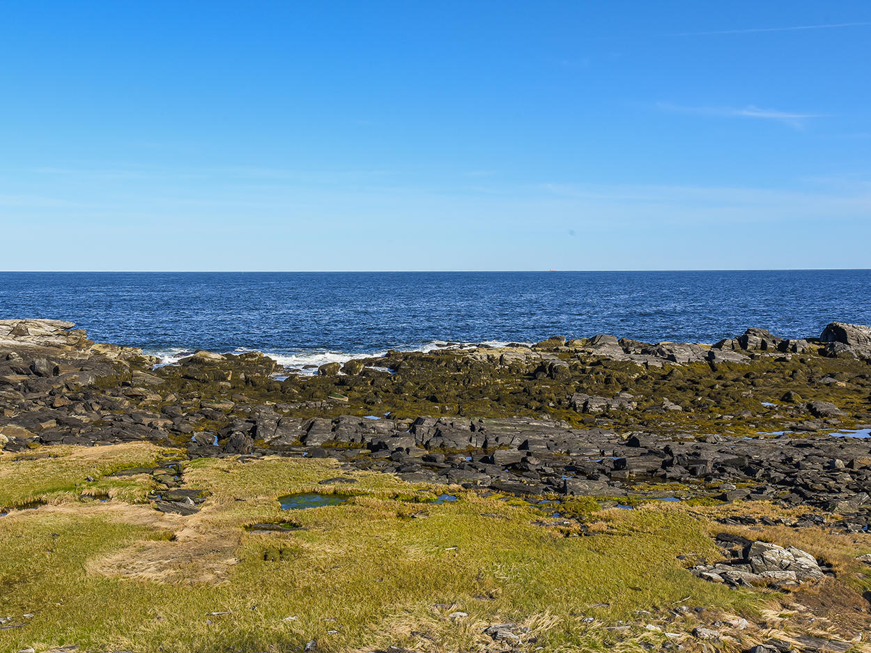 12 Tides Edge Road Cape Elizabeth, ME 04107 - Photo 3 of 59 9013-12TidesEdgeExt