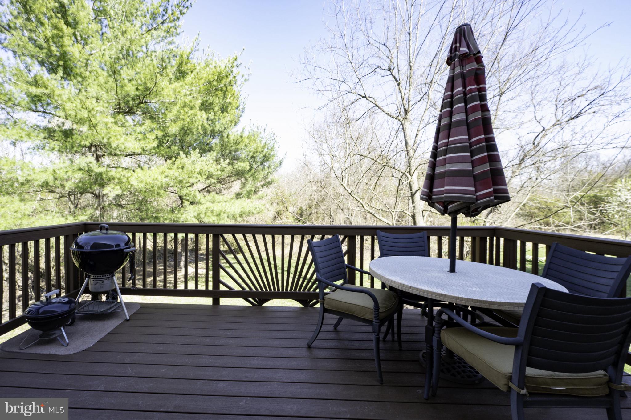 4401 Cub Run Road Chantilly, VA 20151 - Photo 25 of 60 a view of balcony with wooden floor and outdoor seating