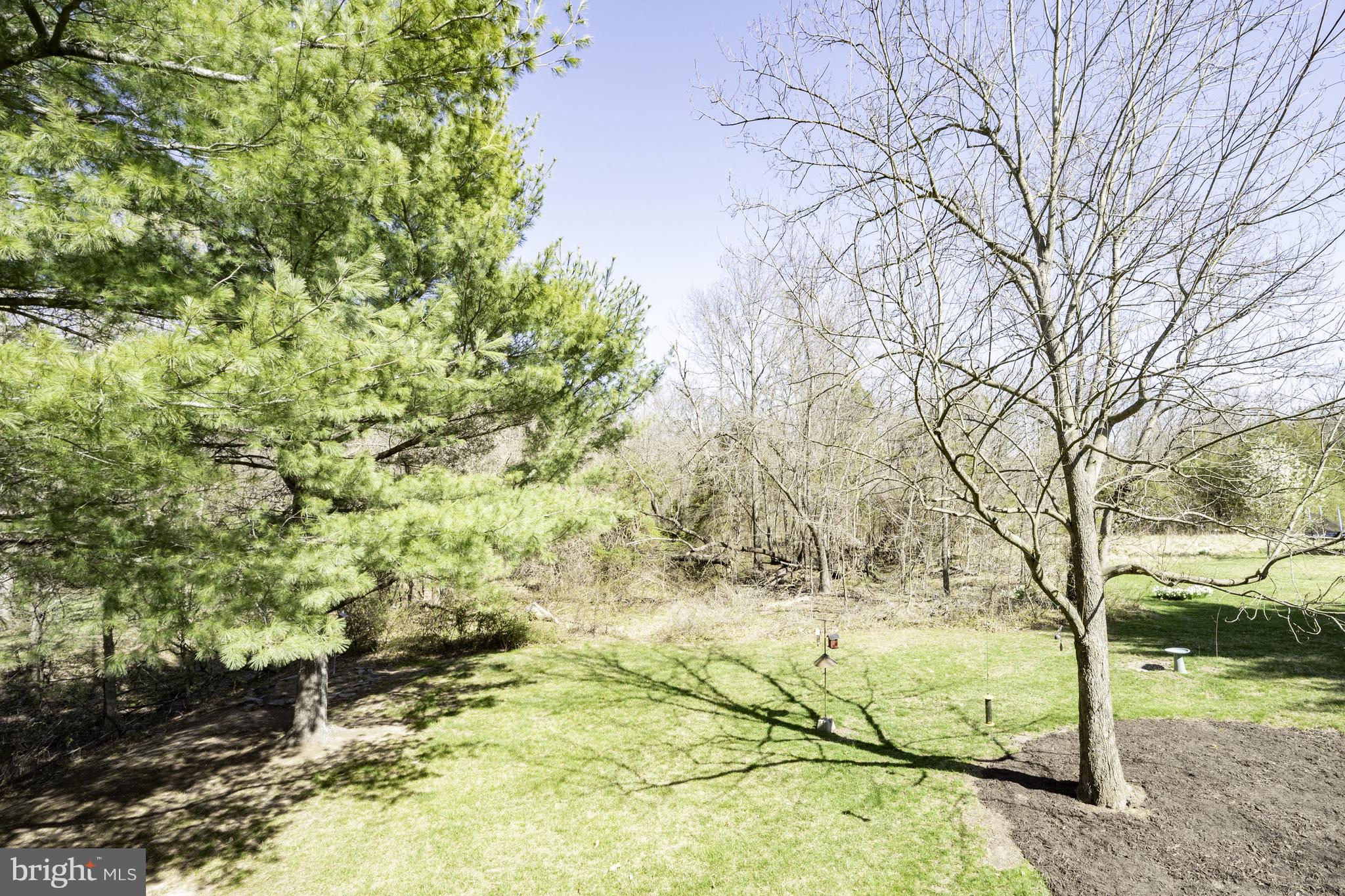 4401 Cub Run Road Chantilly, VA 20151 - Photo 42 of 60 YARD VIEW