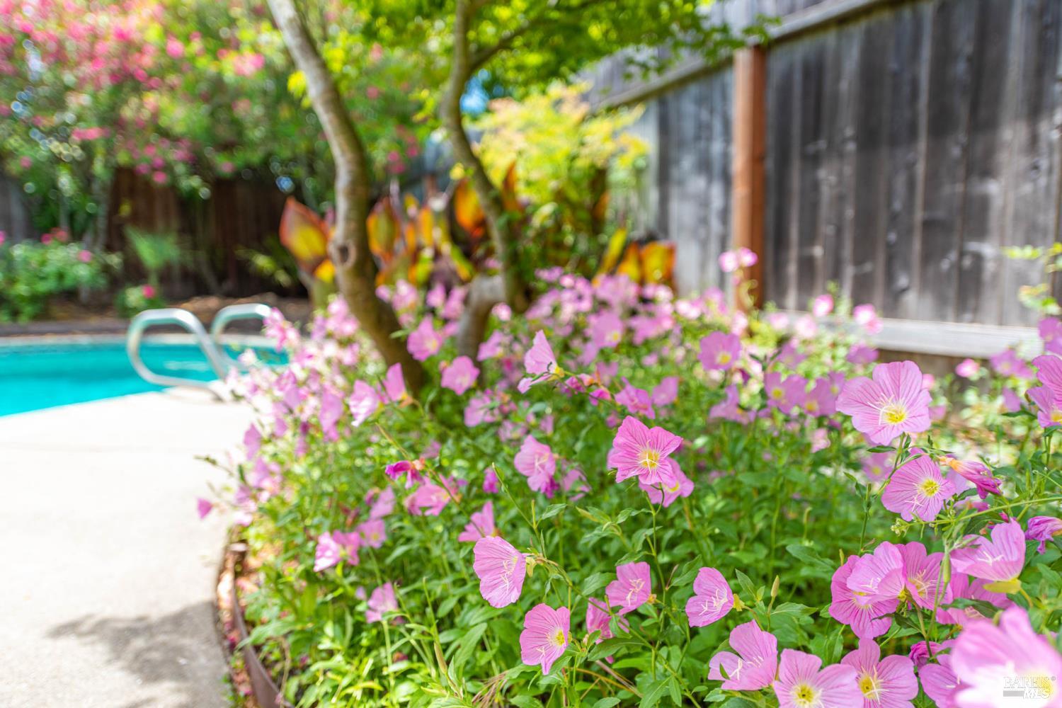 2454 Dunaway Drive Santa Rosa, CA 95403 - Photo 5 of 17 a flower view