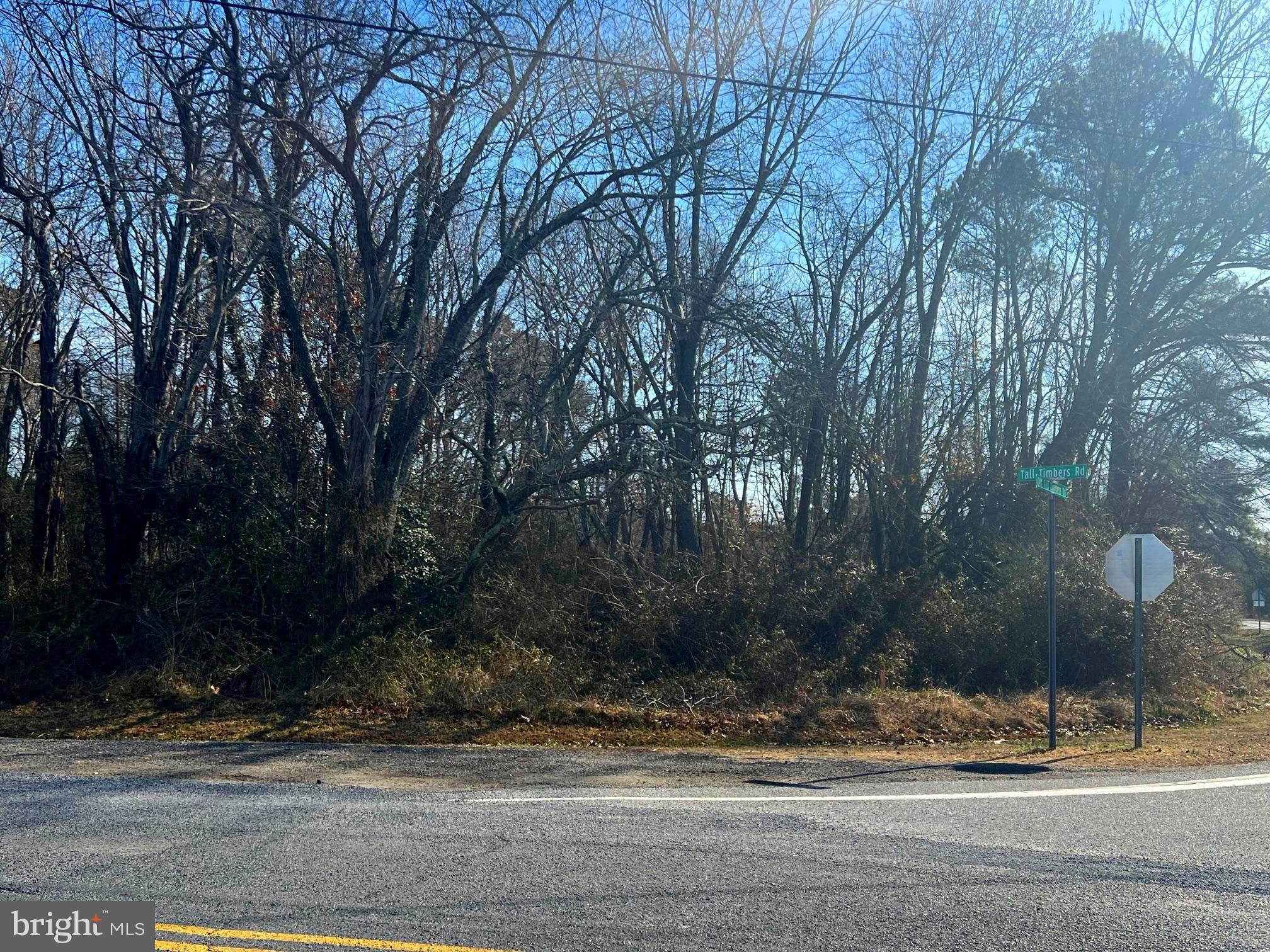 Tall Timbers Road Valley Lee, MD 20692 - Photo 4 of 5