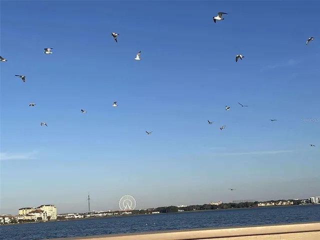 $6,995 | 9102 Southern Breeze Drive, Orlando, FL 32836