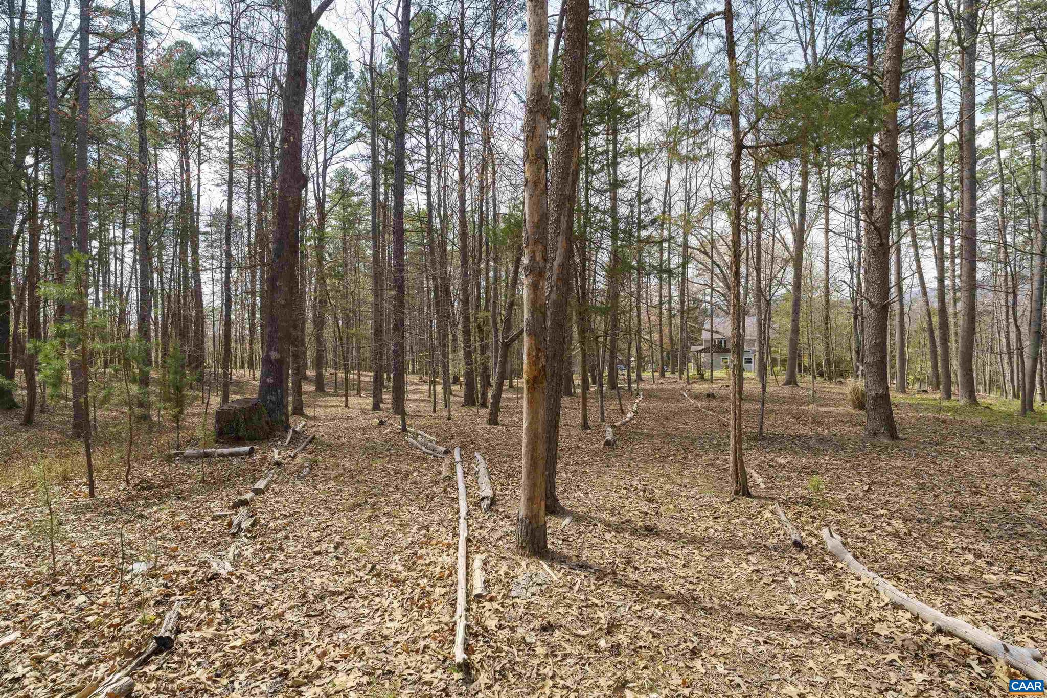 5695 Free Union Road Free Union, VA 22940 - Photo 66 of 68 a backyard of a house with lots of green space