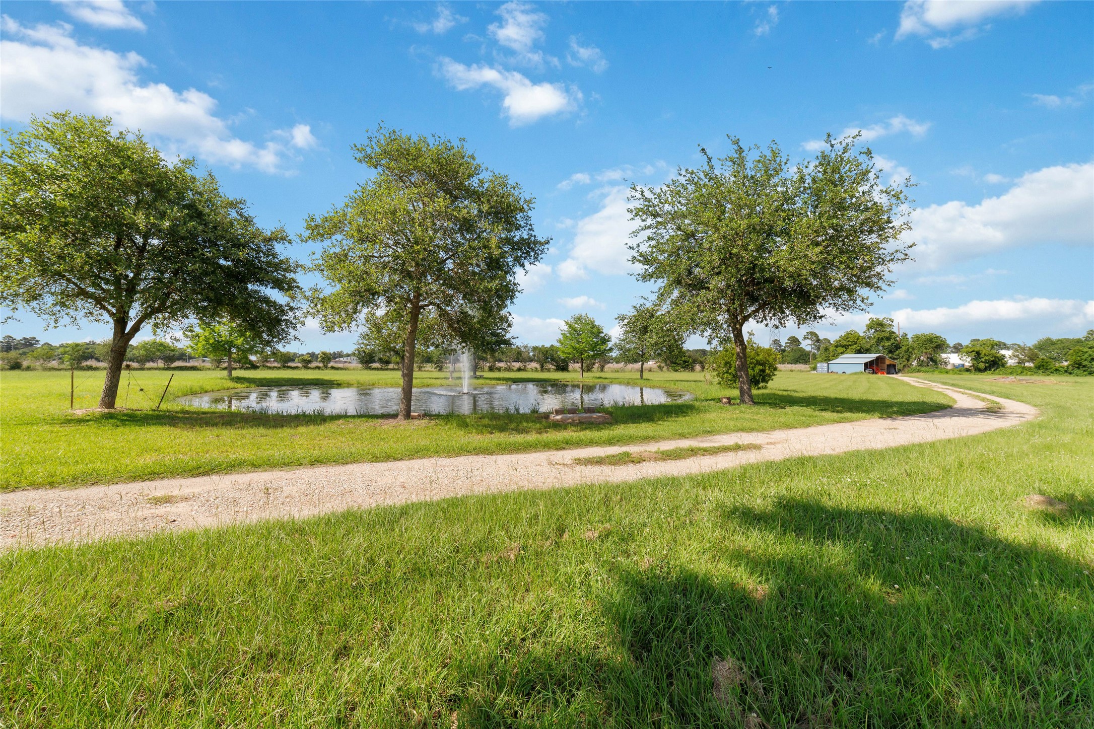 26631 Decker Prairie-Rosehill Road Magnolia, TX 77355 - Photo 10 of 20 a view of large trees and a yard