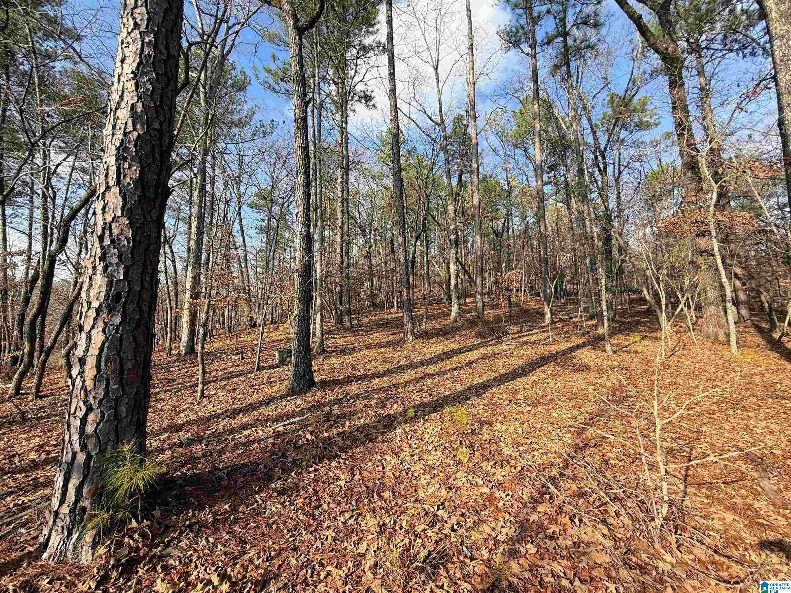 0 Deer Run Road Alabaster, AL 35007 - Photo 14 of 25
