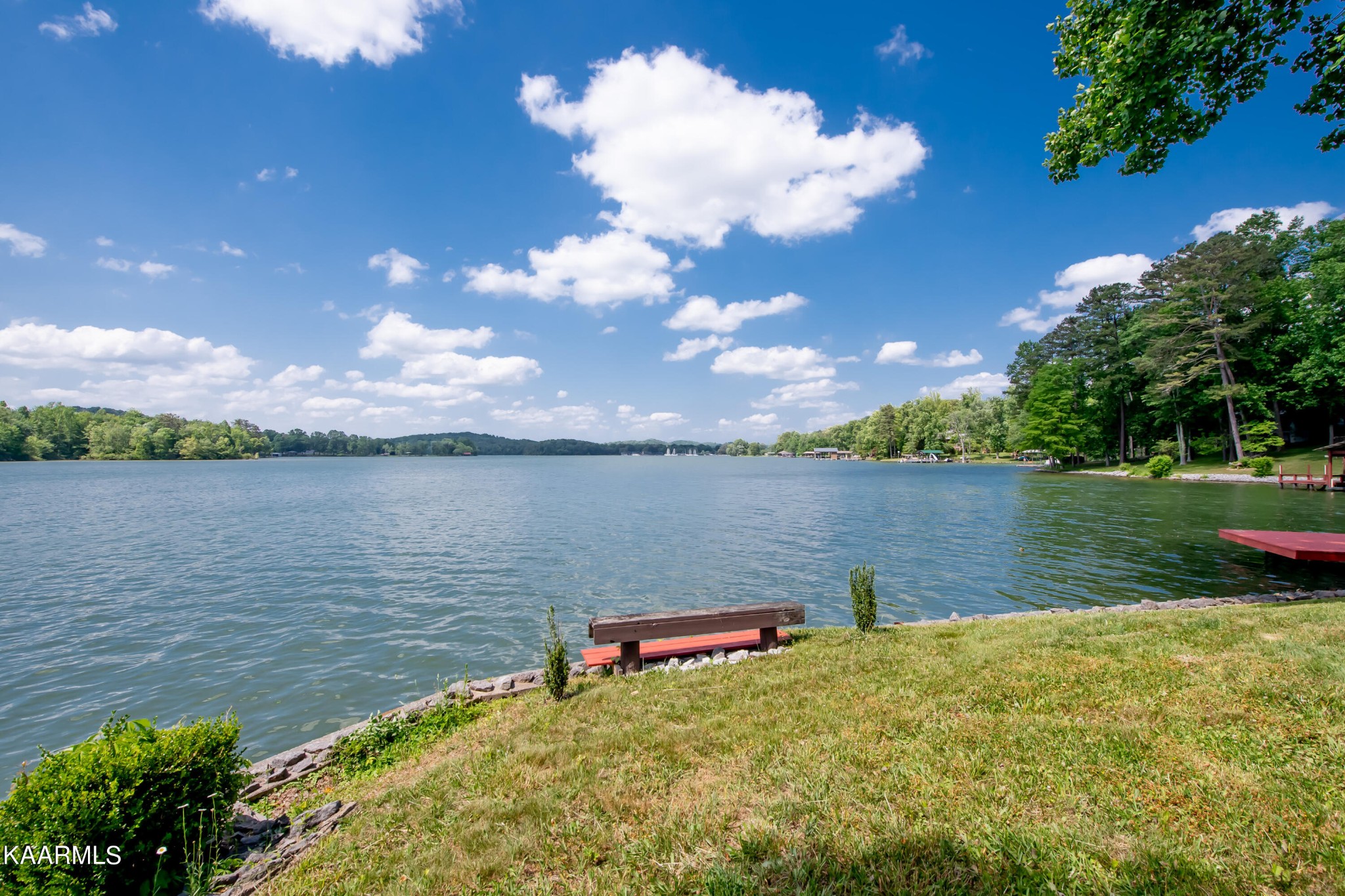 4292 River Road Ten Mile, TN 37880 - Photo 3 of 40 a view of a lake from a yard