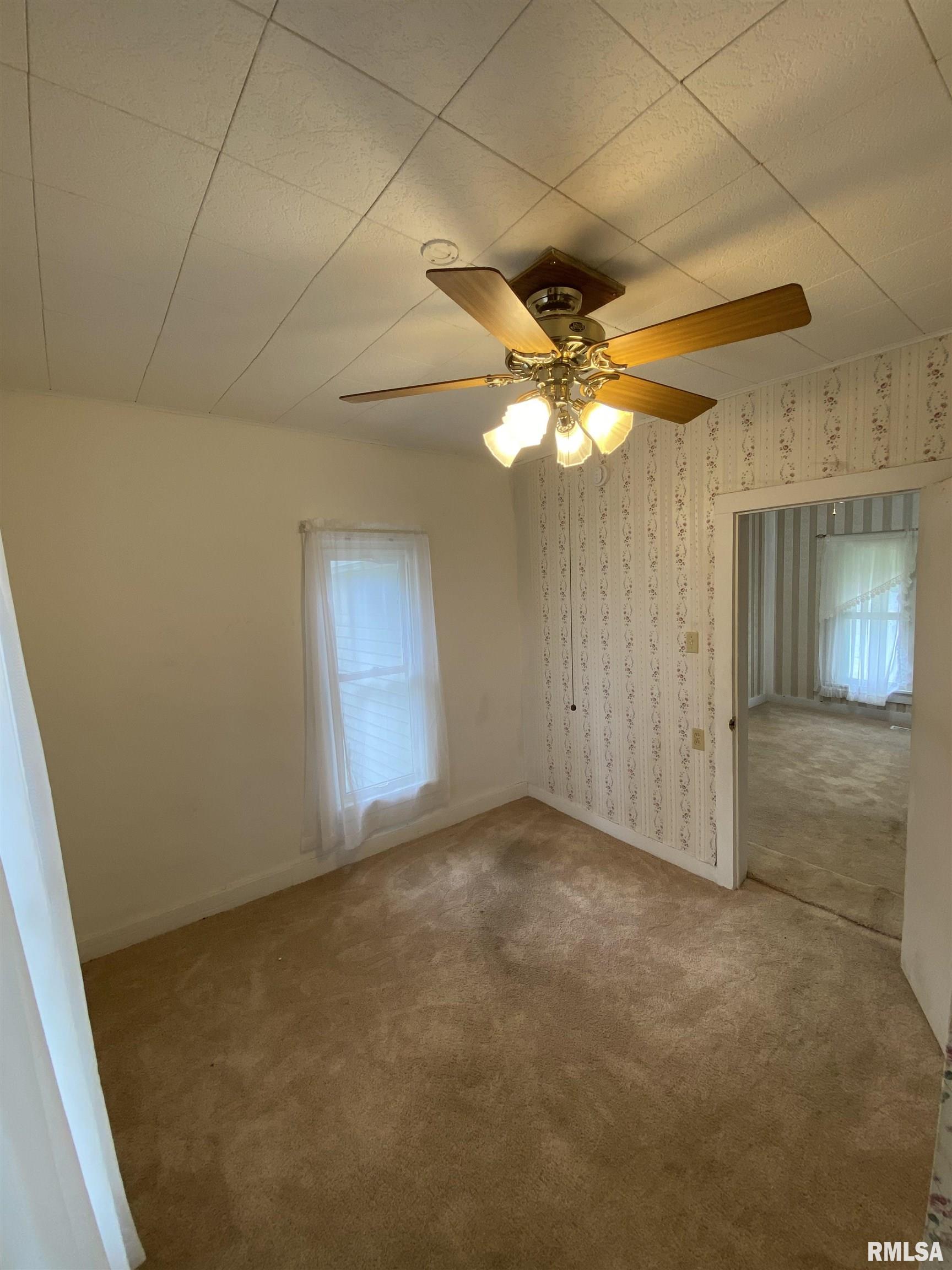 111 East Piper Street Bluffs, IL 62621 - Photo 11 of 12