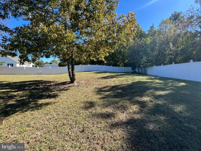 a view of a yard with large trees