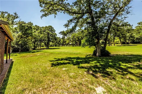 a view of a yard