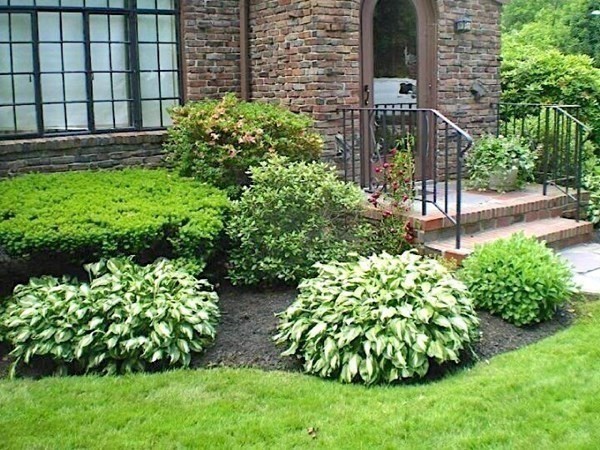 3 Exmoor Road Newton, MA 02459 - Photo 39 of 41 a view of a garden with a fountain