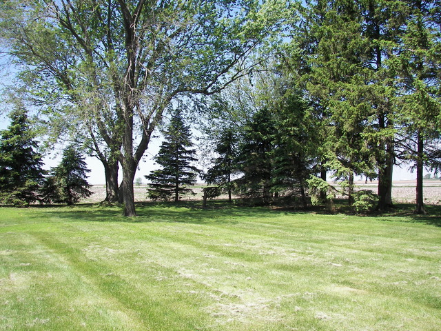 1631 East 29th Road Ransom, IL 60470 - Photo 21 of 22
