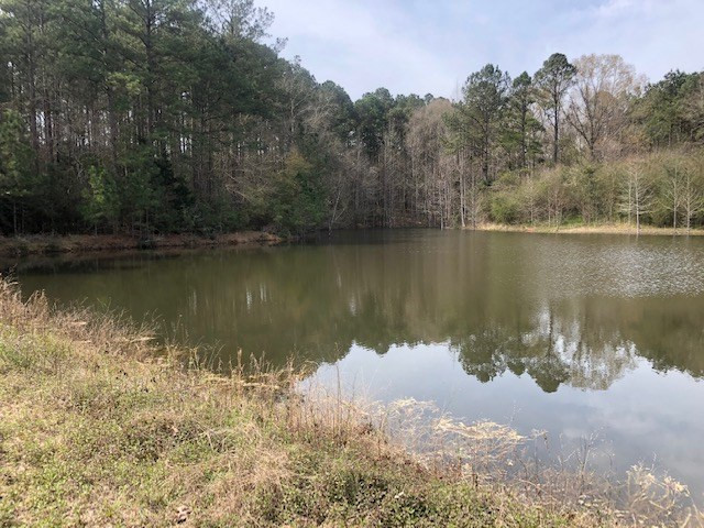 130 South Shady Grove Road Prentiss, MS 39474 - Photo 3 of 11 Photo 3