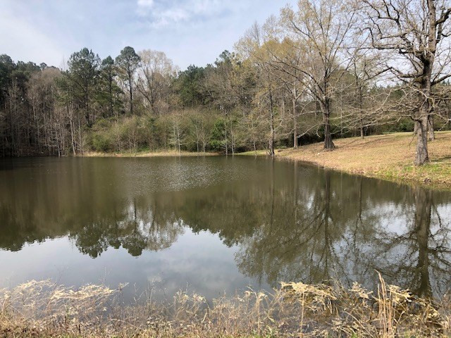 130 South Shady Grove Road Prentiss, MS 39474 - Photo 4 of 11 Photo 4