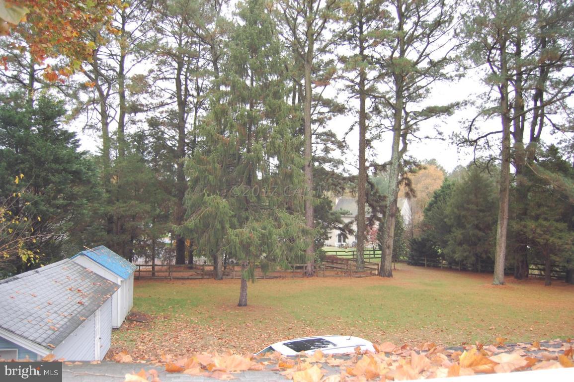28199 Riverside Drive Salisbury, MD 21801 - Photo 13 of 31 Gallery Image 13