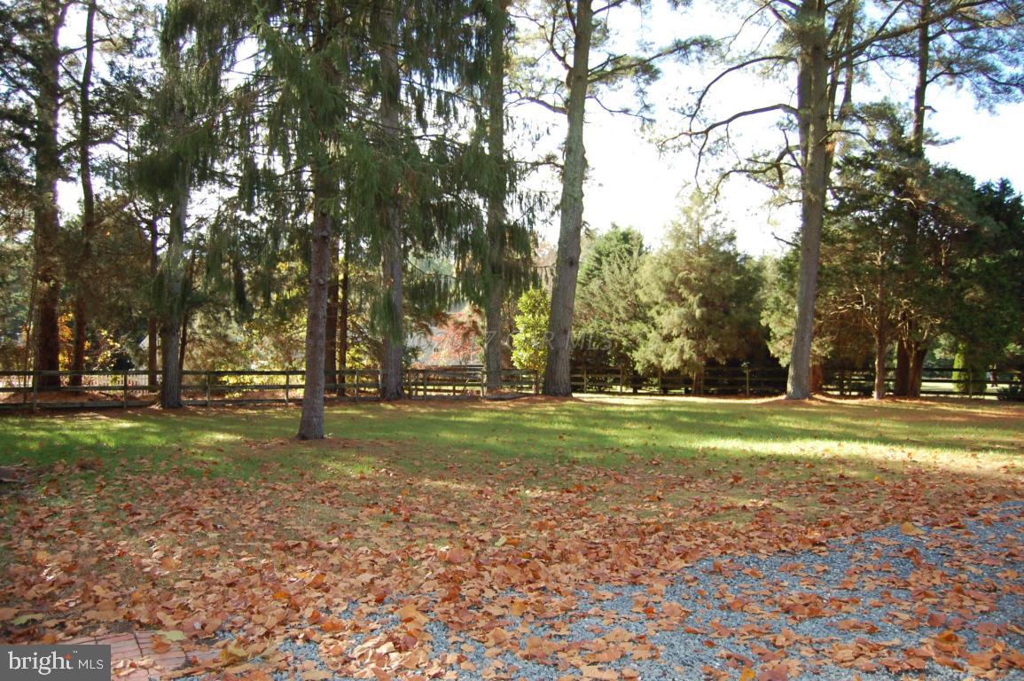 28199 Riverside Drive Salisbury, MD 21801 - Photo 18 of 31 Gallery Image 18