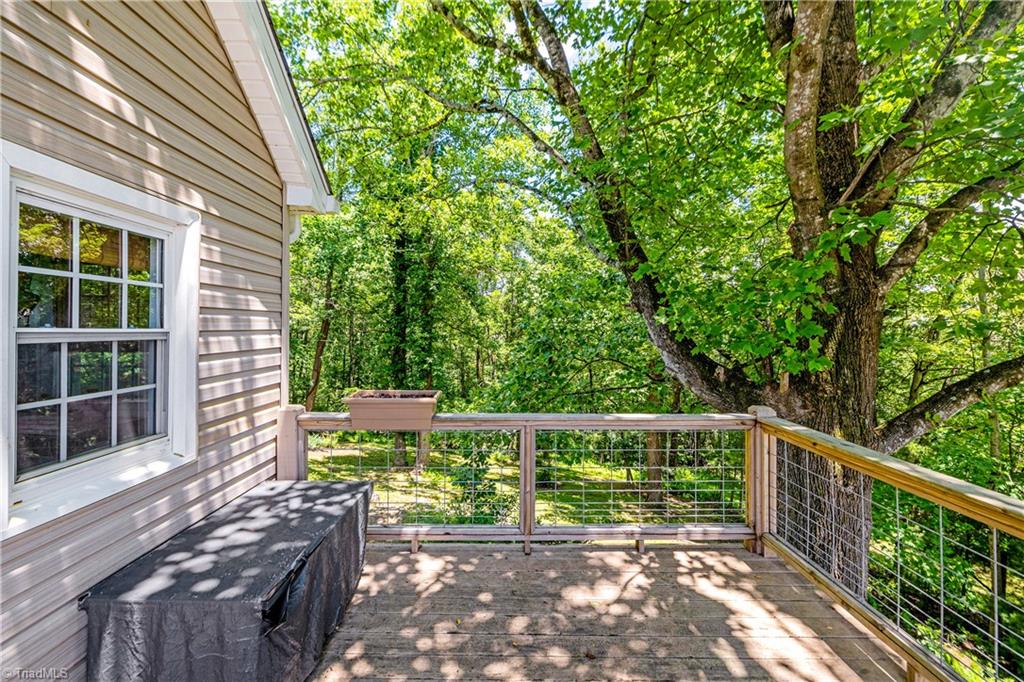 163 Alpine Way Fancy Gap, VA 24328 - Photo 6 of 37