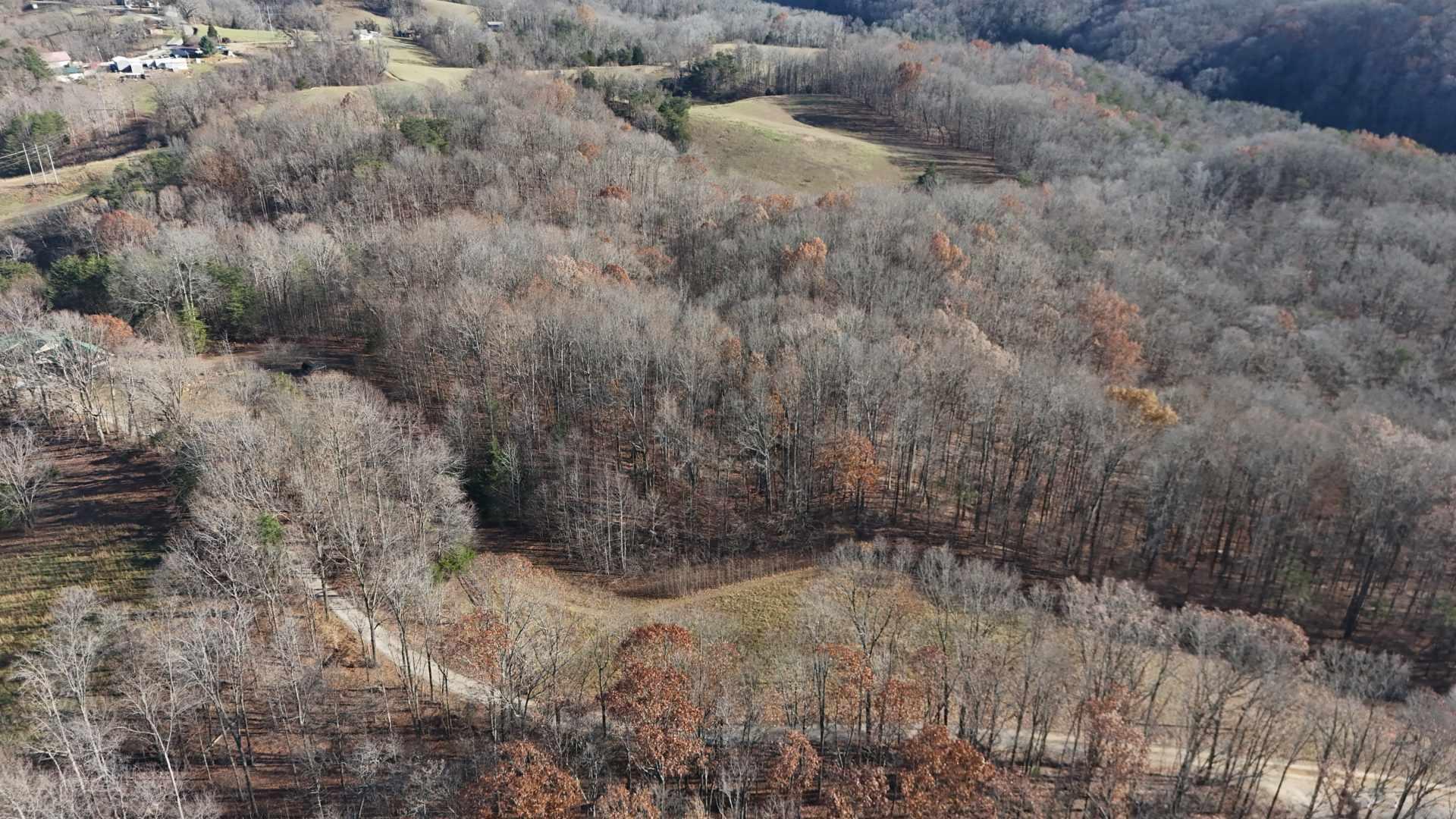 4 Mcfall Road Albany, KY 42602 - Photo 10 of 12 McFall Road - D1