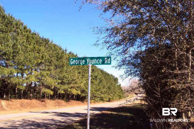 14066 George Younce Road Foley, AL 36535 - Photo 26 of 26