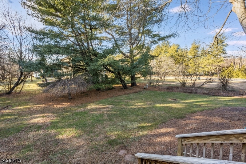 2 Bernard Court Lebanon, NJ 08833 - Photo 30 of 37 a view of a yard