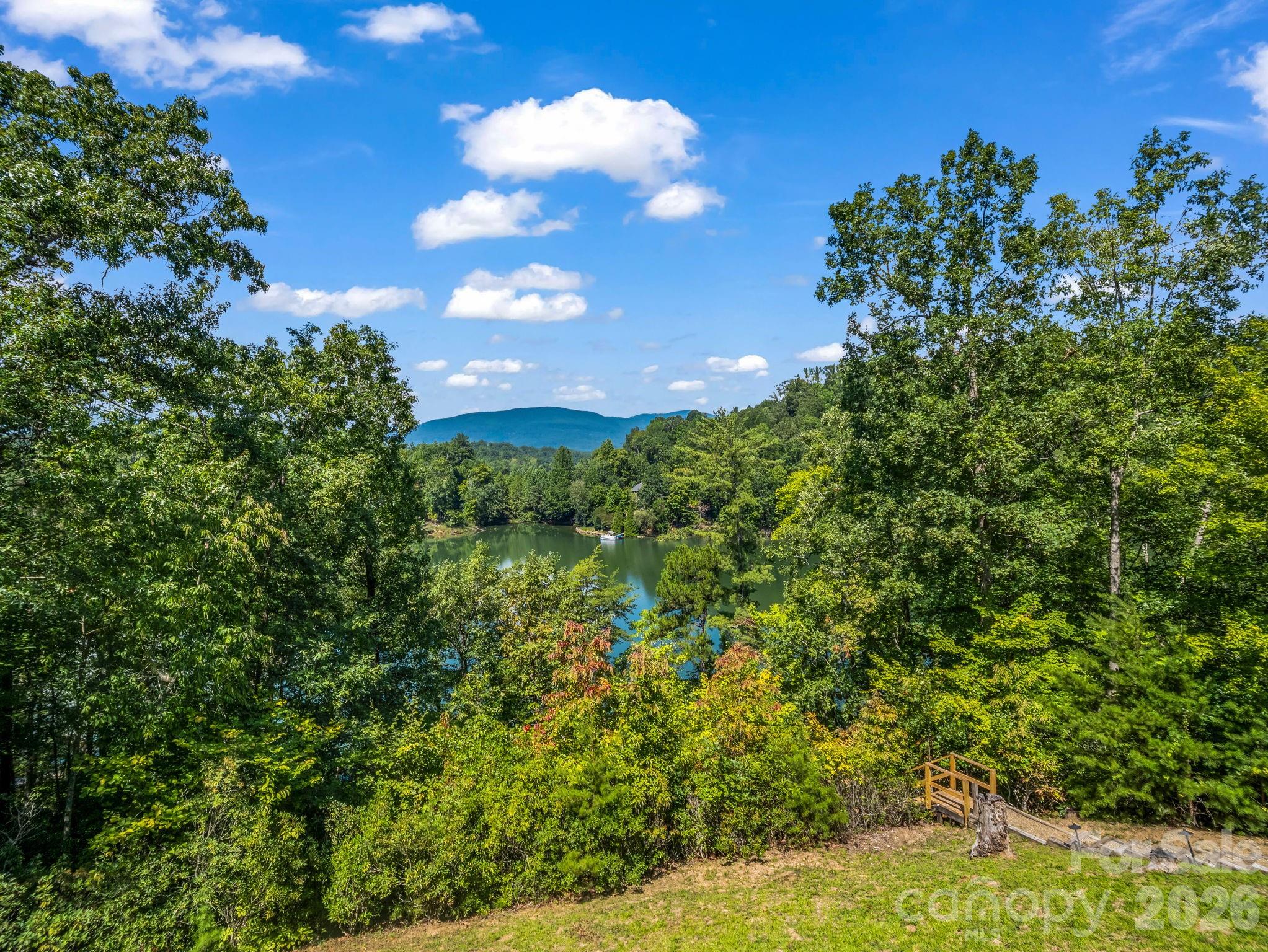 1237 South Cove Road Mill Spring, NC 28756 - Photo 36 of 46 Gallery Image 36