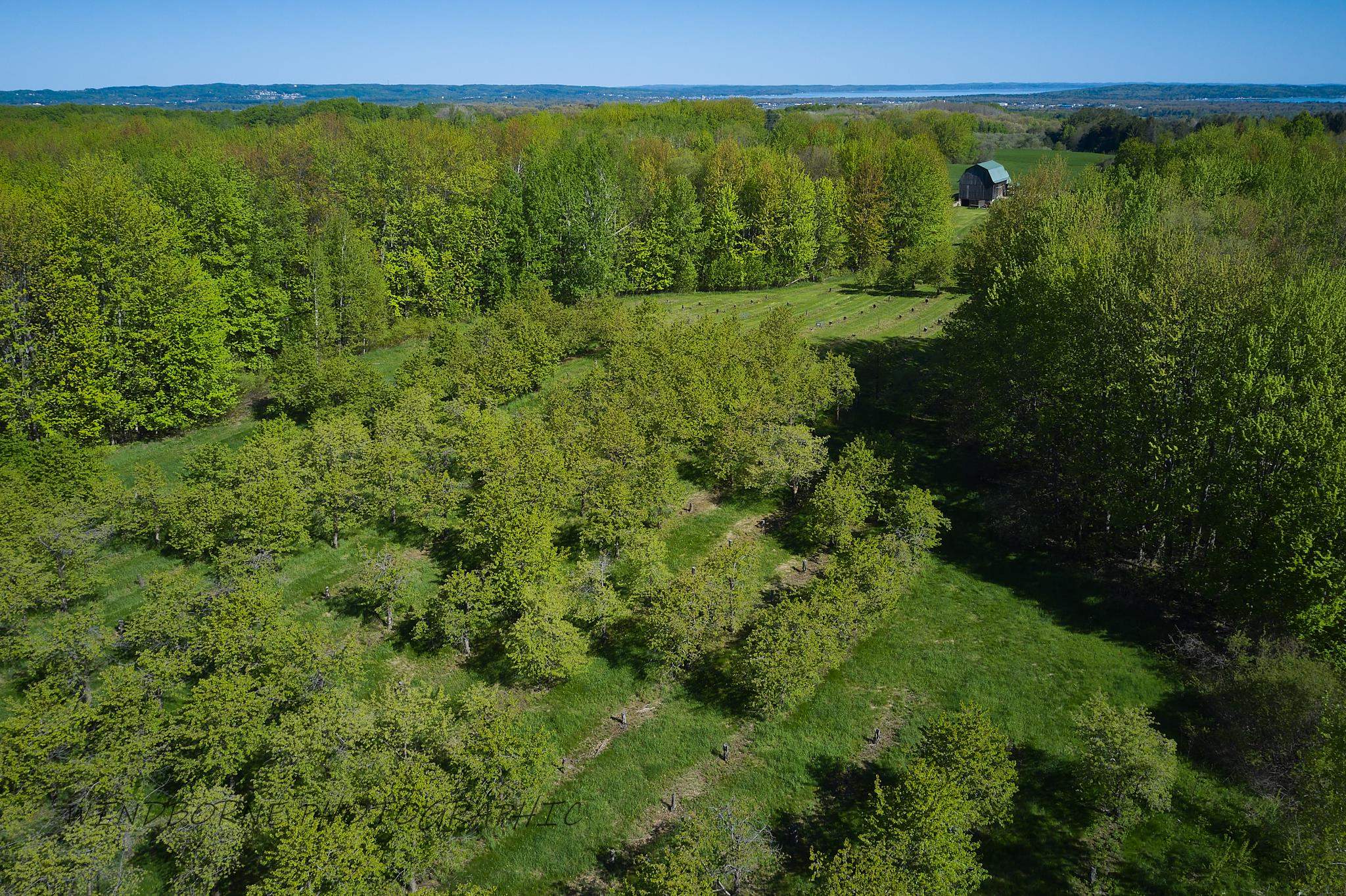 Three Three Mile Road, Unit LOT: G Traverse City, MI 49696 - Photo 3 of 8