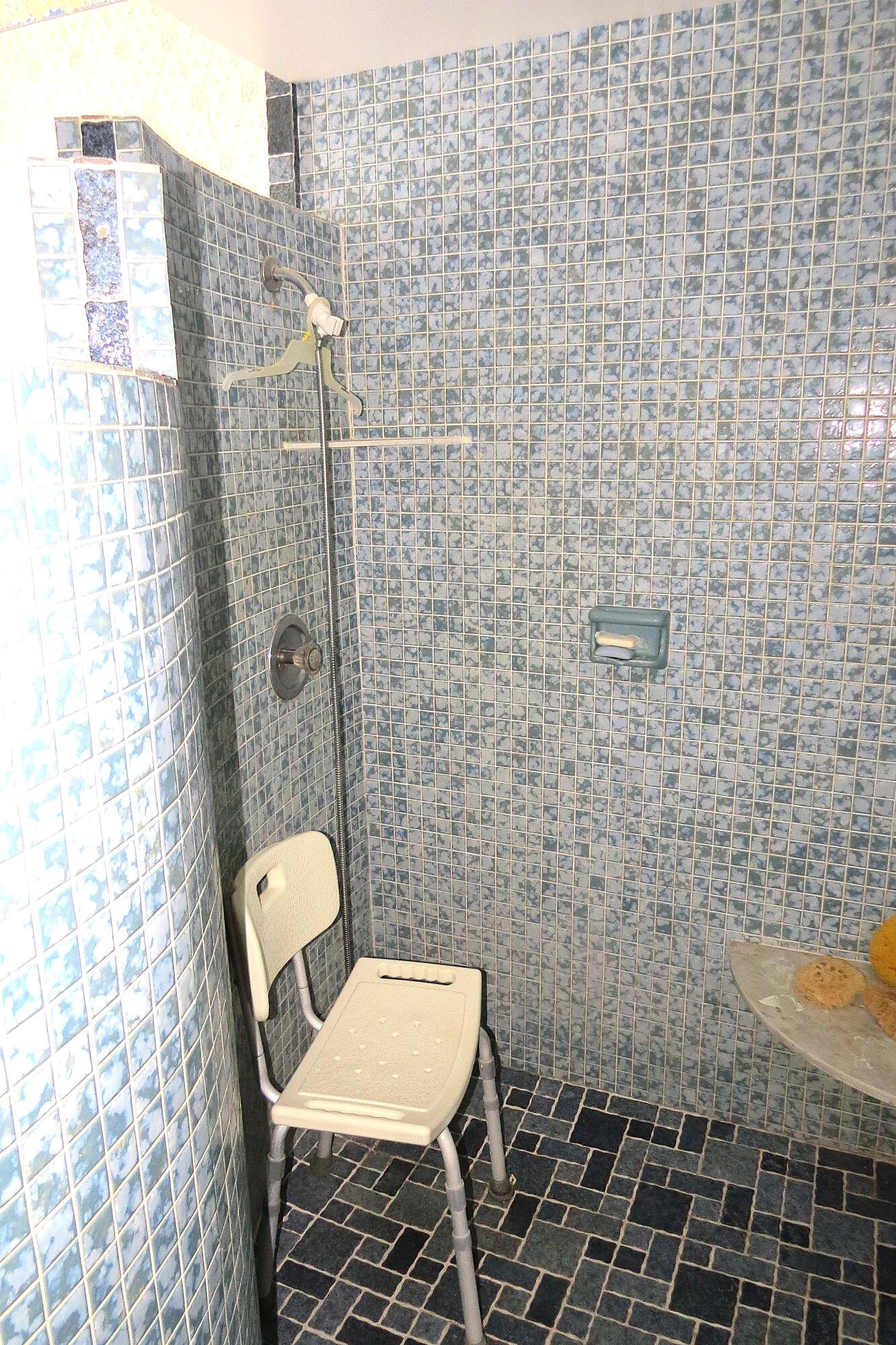 5897 Urdea Road Jupiter, FL 33458 - Photo 22 of 32 MASTER BATH SHOWER 2 2