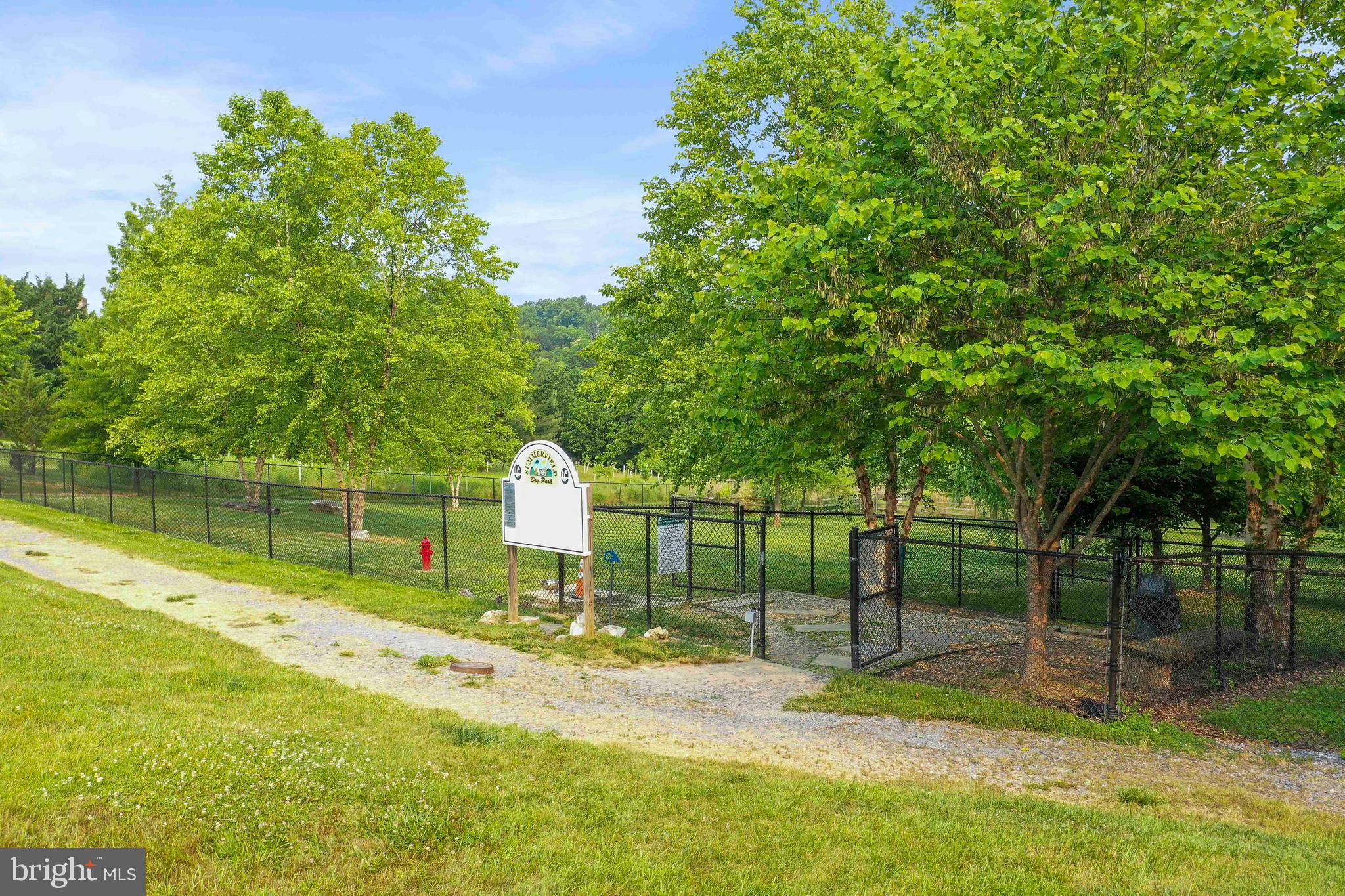 5920 Pecking Stone Street New Market, MD 21774 - Photo 58 of 72 a backyard of a house with entertaining space and garden