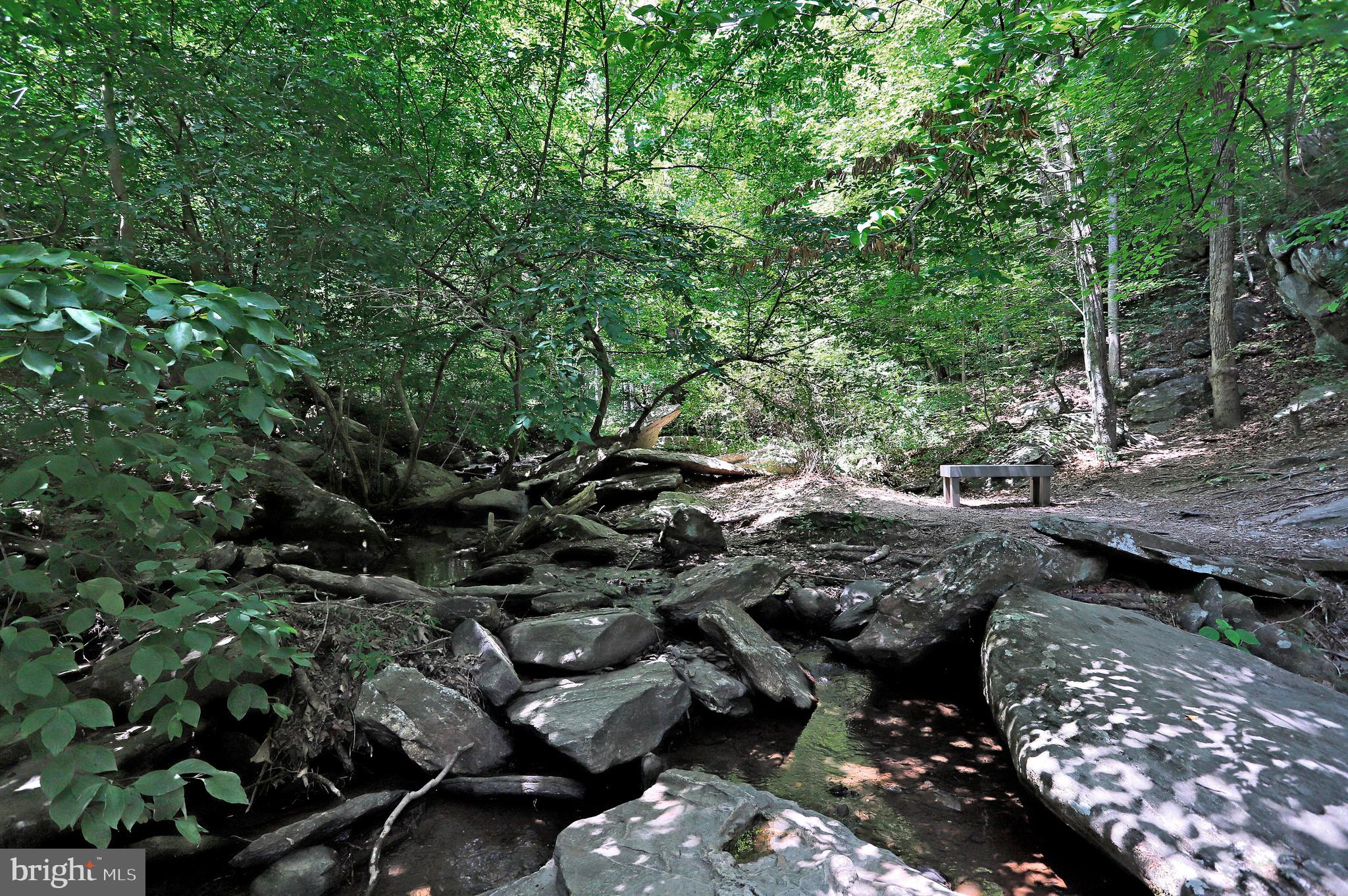 5920 Pecking Stone Street New Market, MD 21774 - Photo 61 of 72 a view of a tree in a park
