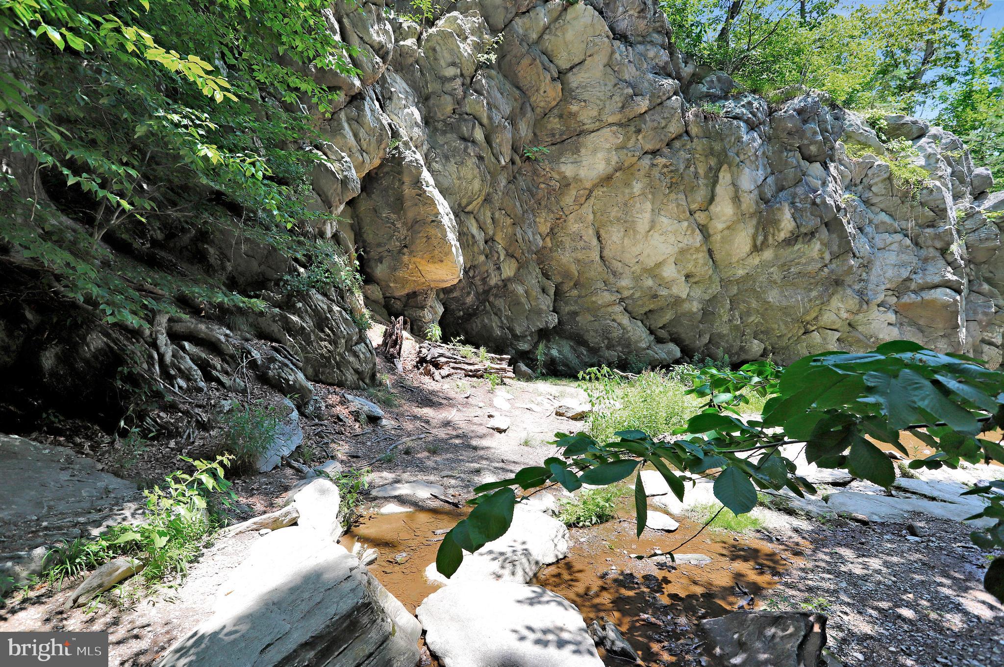 5920 Pecking Stone Street New Market, MD 21774 - Photo 62 of 72 a bunch of trees with a yard