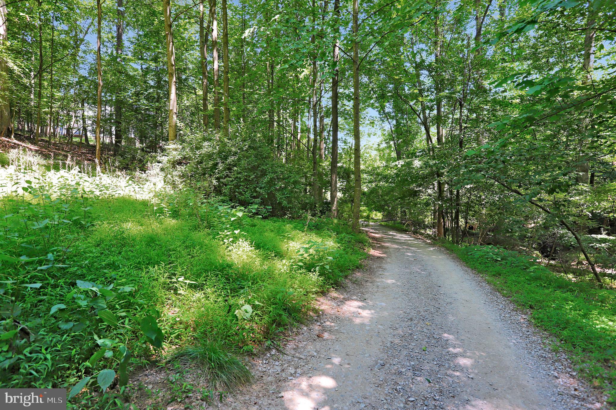 5920 Pecking Stone Street New Market, MD 21774 - Photo 71 of 72 a pathway of a yard