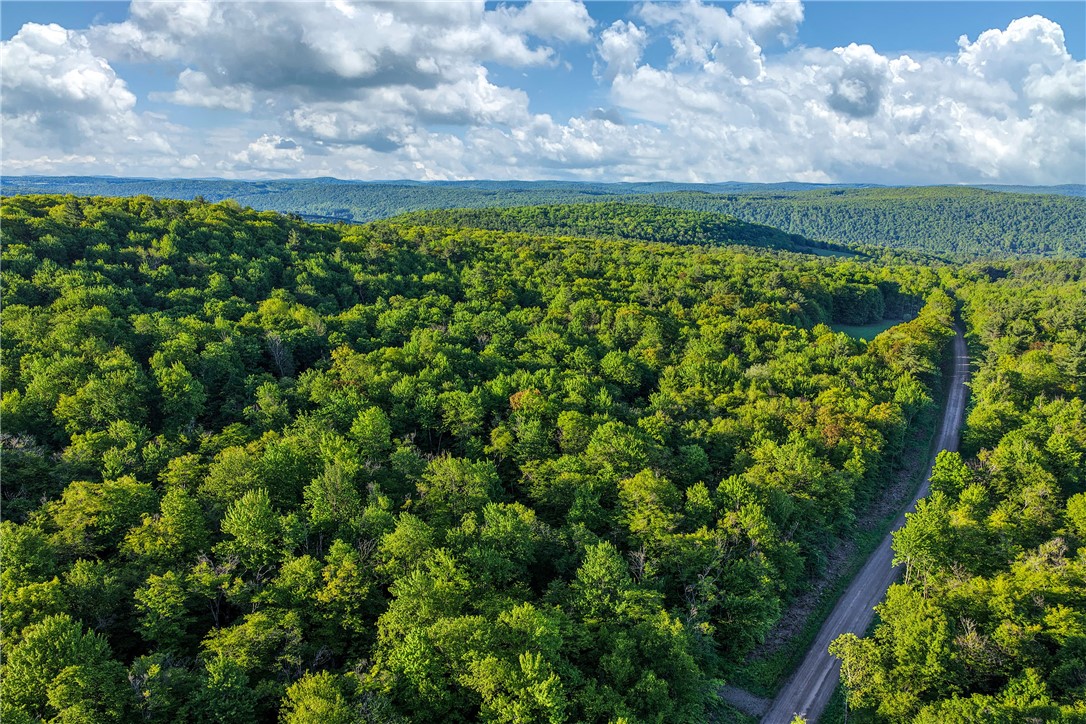 19-22 25 Frank Slawson Road Oneonta, NY 13820 - Photo 8 of 30